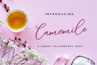 Camomile Script: A Graceful Calligraphy Font for Product Makers