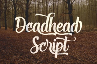 Deadhead Script: A Designer’s Real-World Review