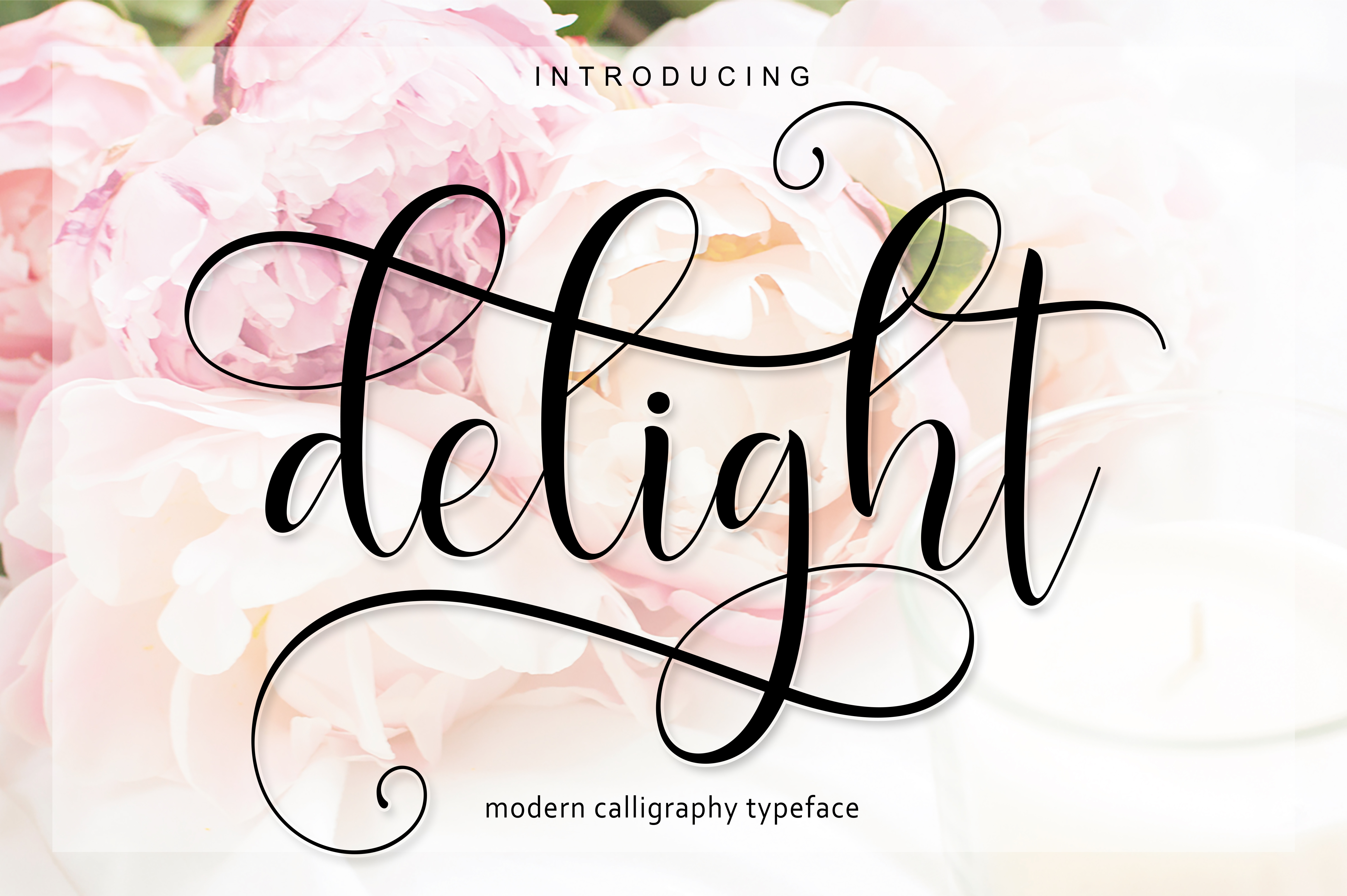 Delight Script Font for Web Designers and Creatives