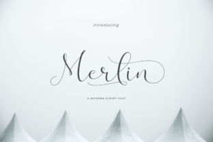 Merlin Script: A Designer’s Honest Review for Real Projects