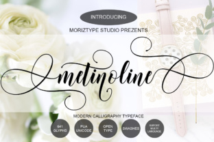Metinoline Script: A Fresh, Friendly Font for Small Business Branding