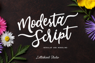 Modesta Script: A Feminine Typeface for Editorial Design