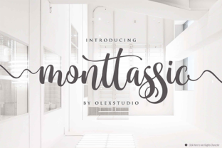 Monttassic Script: A Designer’s Real-World Review