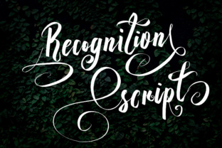Recognition Script: A Gorgeous Font for Handmade Products