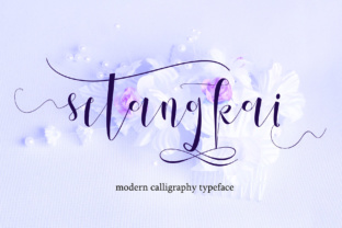Setangkai Script Font Brings Elegance to Publishing